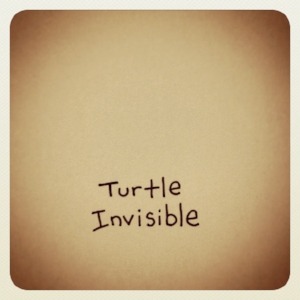 invisible turtle.jpg