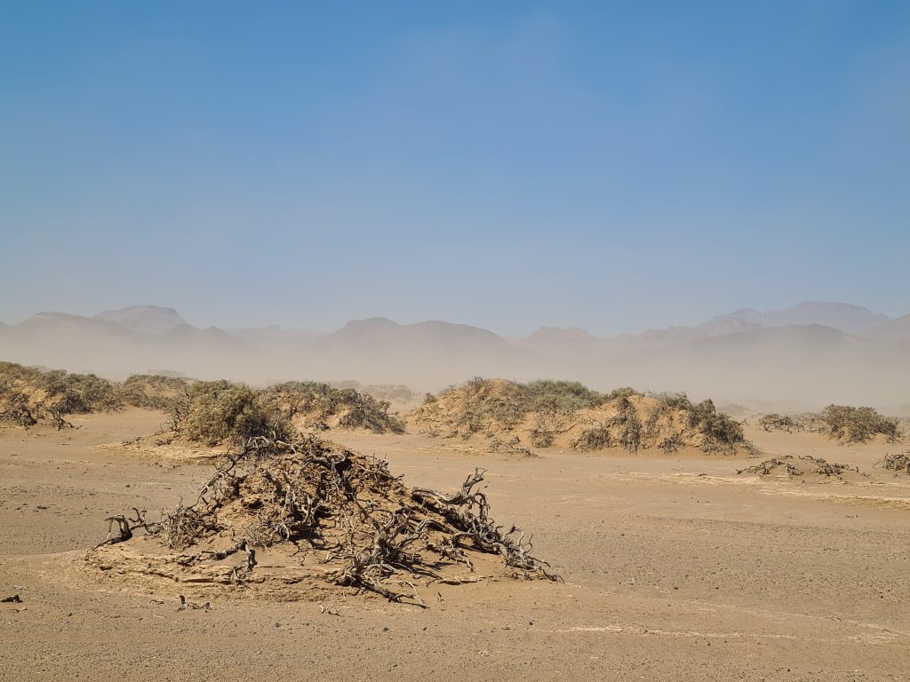 Dust plumes whipped up by the Bergwind